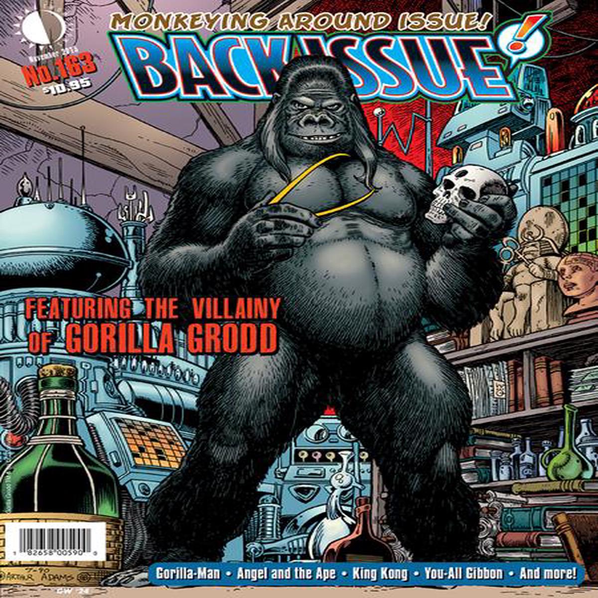 BACK ISSUE #163