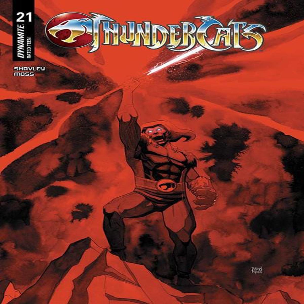 THUNDERCATS #21 CVR D