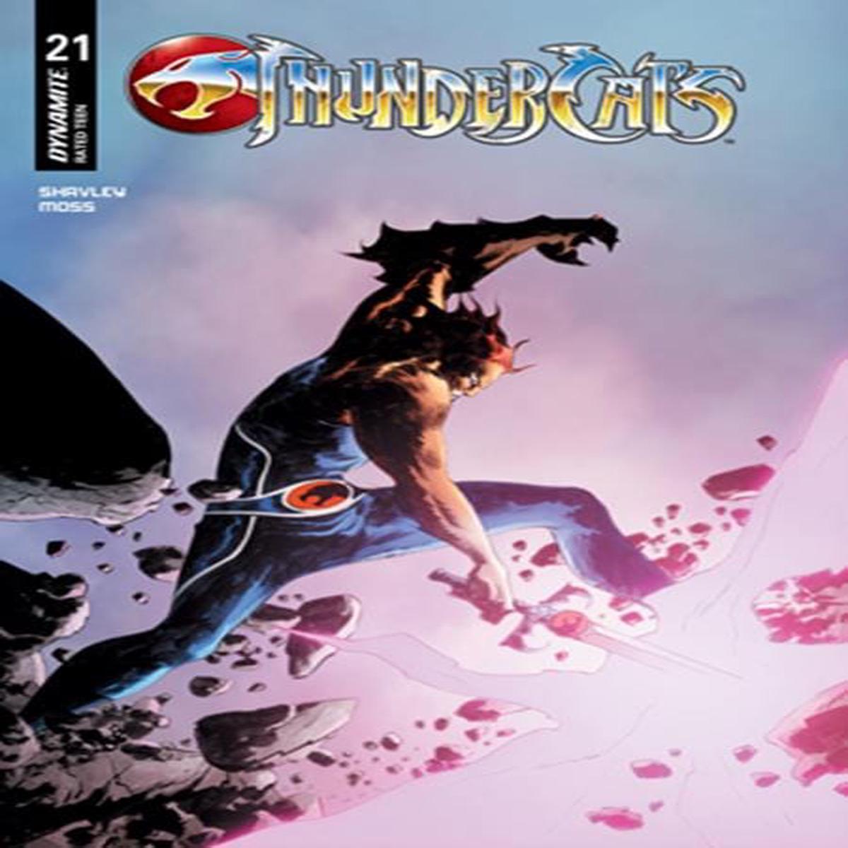THUNDERCATS #21 CVR C